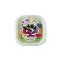 Oyumaru Instant Mold Moulding Compound - 102-F0047