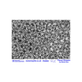 Pam East Texture Mat - Floral Dreams by Shruti Dev - 264-PE4002
