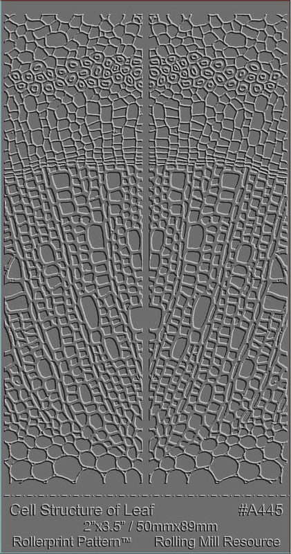 RMR Laser Texture Paper - Cell Structure Of Leaf - 50 x 89mm