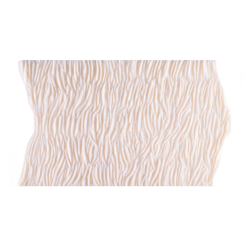 Silicone Mould - Zebra