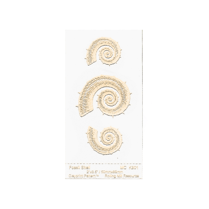 Rolling Mill Resource Texture - Fossil Shell