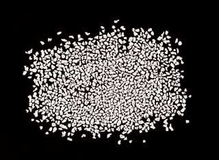 Fine Silver Frit Flakes - Medium - 5gm - 102-H-002