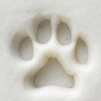 Acrylic Stamp (KS) - Paw Print - 10mm