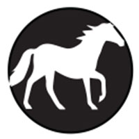 Acrylic Stamp (KS) - Horse - 10mm