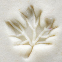 Acrylic Stamp (KS) - Maple Leaf - 10mm