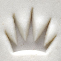Acrylic Stamp (KS) - Starburst - 10mm