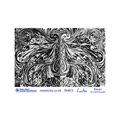 Texture - Carol Douglas - Raven