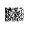 Pam East Texture Mat - Champagne Fizz - 264-PE2054