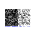 Pam East Texture Mat - Eyepods by Shruti Dev - 264-PE4012