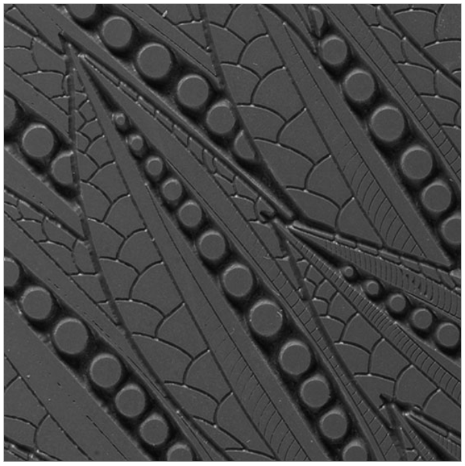 Texture Tile - Pods Fineline