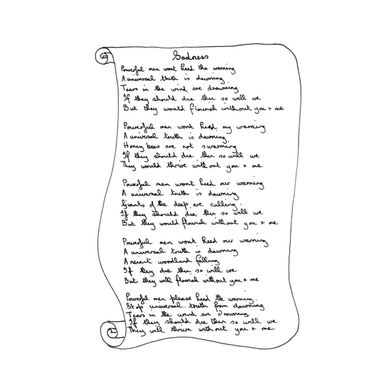Texture - Carol Douglas - Bittersweet - Poem Insert