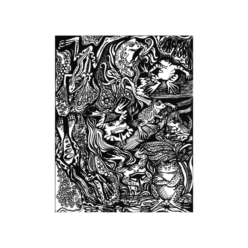 Texture - Carol Douglas - Frog Prince Close-up