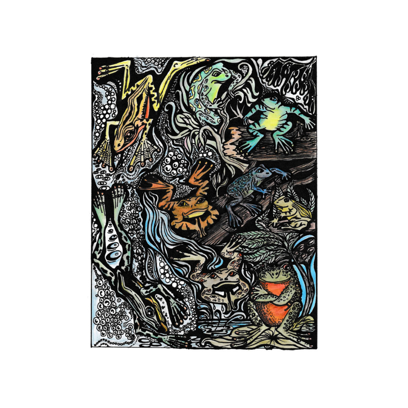 Texture - Carol Douglas - Frog Prince - Colour Close-up