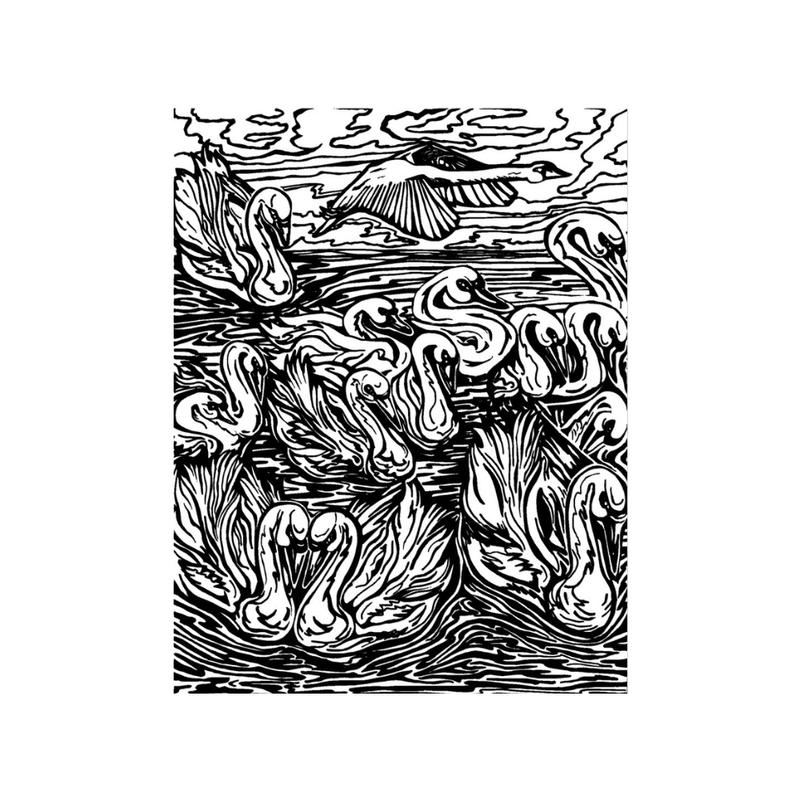 Texture - Carol Douglas - Swans - Close-up