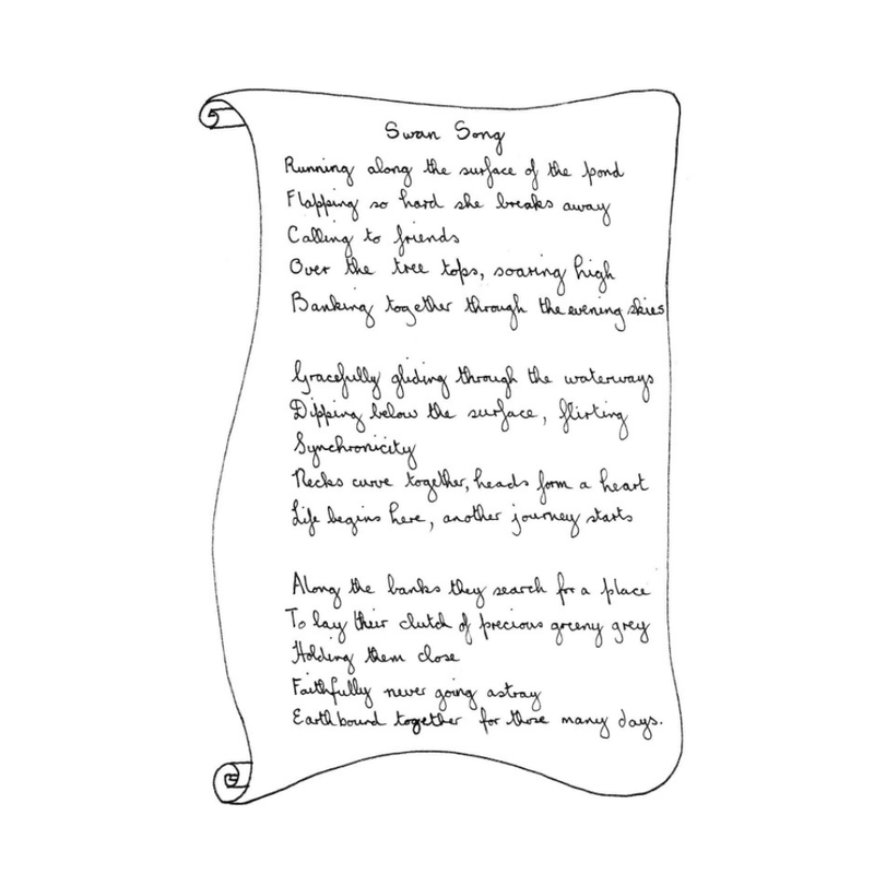 Texture - Carol Douglas - Swans - Poem Insert