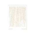 RMR Laser Texture Paper - Trees of Joy - 102 x 127mm