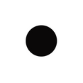 Japanese Enamel Opaque Black - 20g - 102-R0411