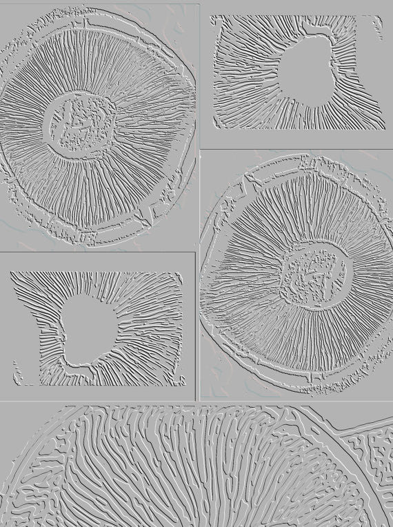 RMR Laser Texture Paper - Portabella Mushroom - 127 x 178mm
