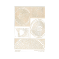 RMR Laser Texture Paper - Portabella Mushroom - 127 x 178mm