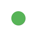 Japanese Enamel Opaque Green - 20g - 102-R0409