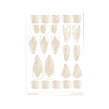 RMR Laser Texture Paper - Peacock - 127 x 178mm