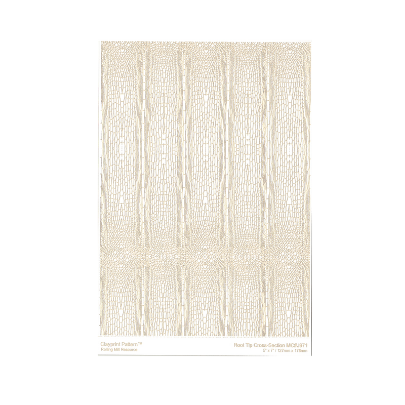 RMR Laser Texture Paper - Root Tip Cross Section - 127 x 178mm