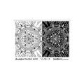 Pam East FlexMat Texture Stamp - Seedburst